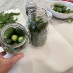 Dill pickle canning jars packed with cucumbers leaving space at the top to cover the cucumbers with brine.