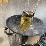 Remove finished pickles from open water bath canner and allow to cool.