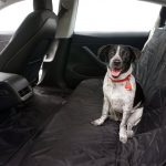 Evvanex rear pet seat cover for the Tesla Model 3.